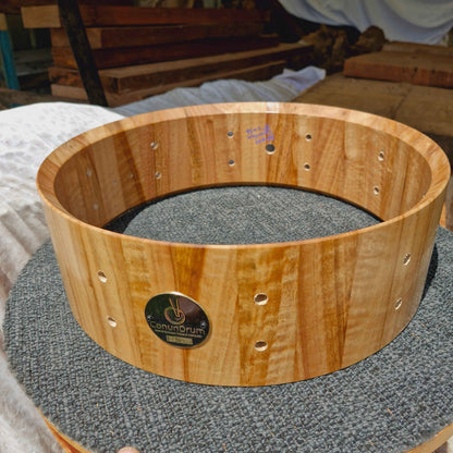 Blackbutt shell, Hardness 9kN (Inc. Bearing edges & Snare beds)